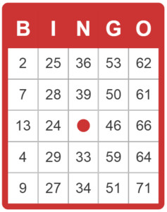 75 ballen bingo kaart